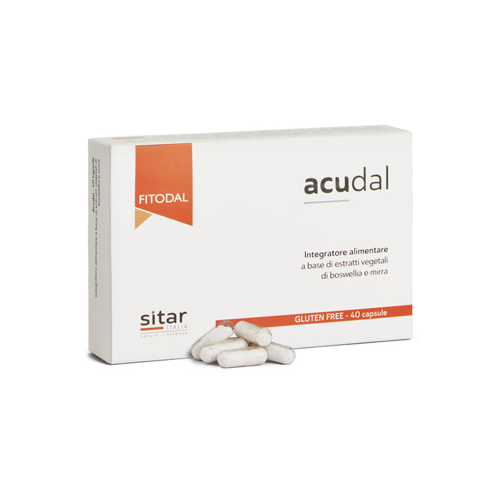 Acudal