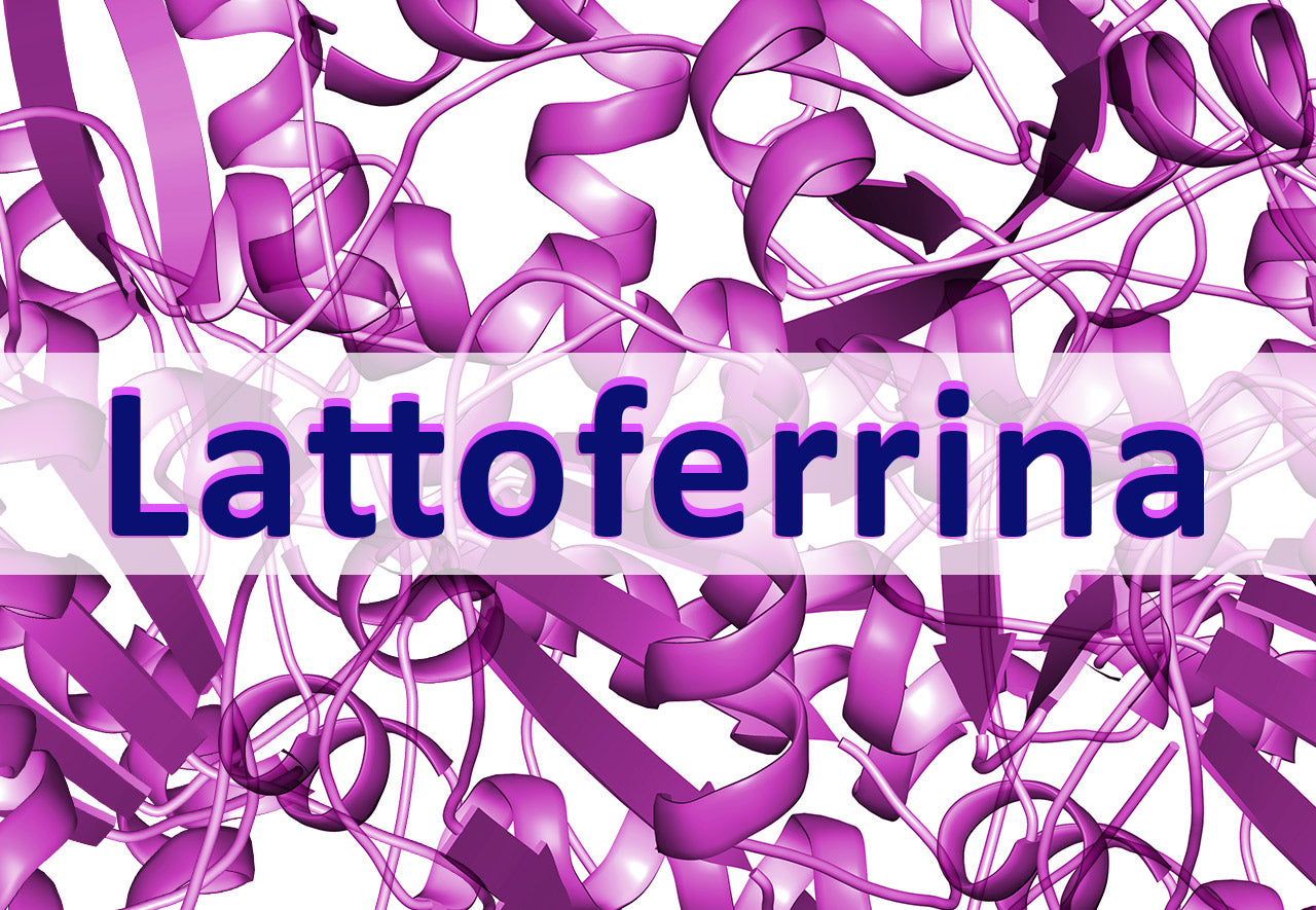 CONOSCIAMO MEGLIO LA LATTOFERRINA