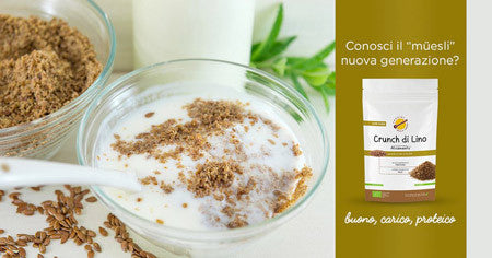 Crunch di lino bio: tutto il gusto della salute a colazione