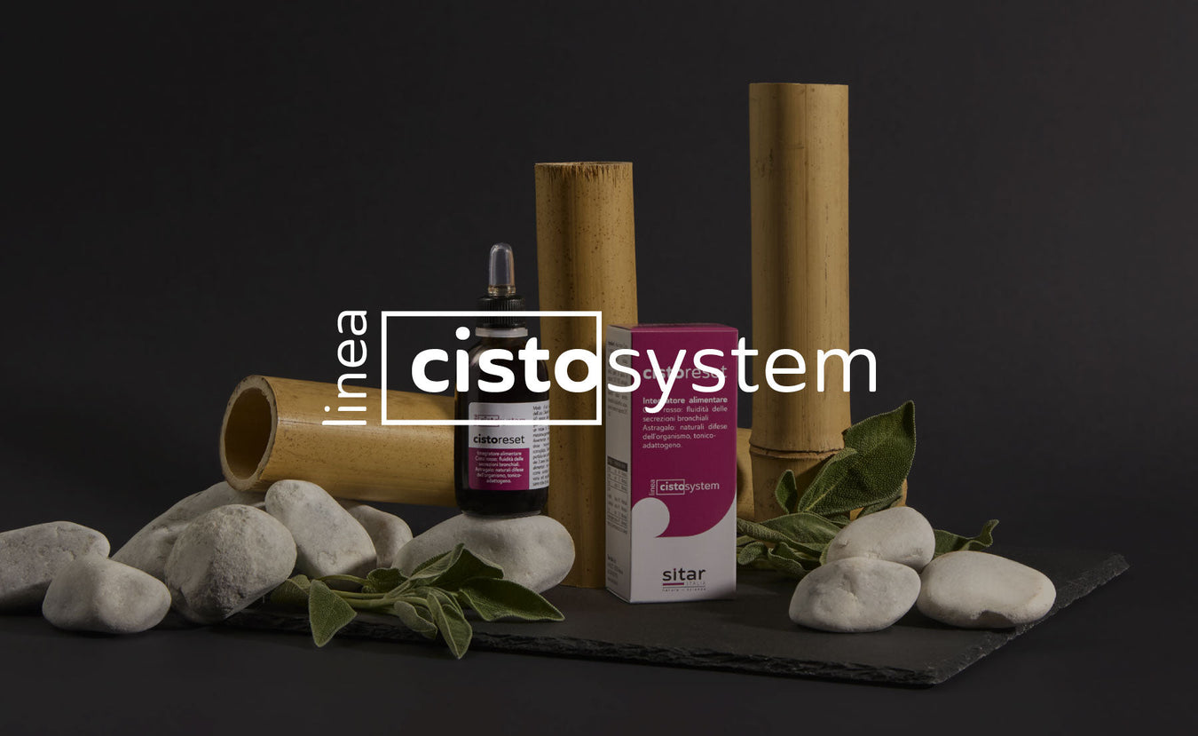 Linea Cistosystem