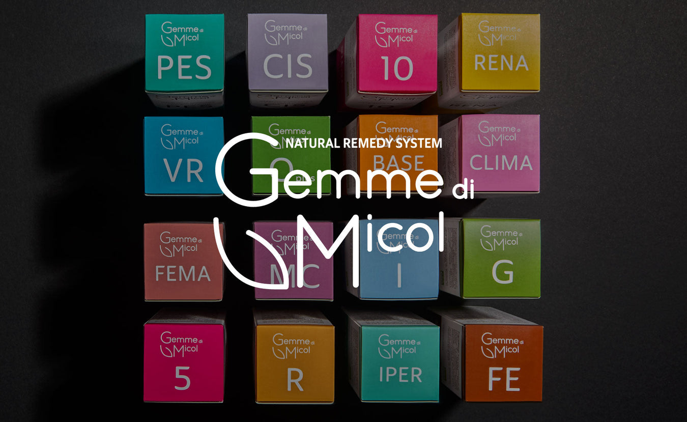 Gemme di Micol
